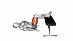 Glute Bridge Two Legs on Bench